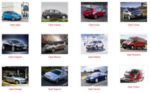 Covorașe standard sau covorașe pentru Opel – ce alegi?